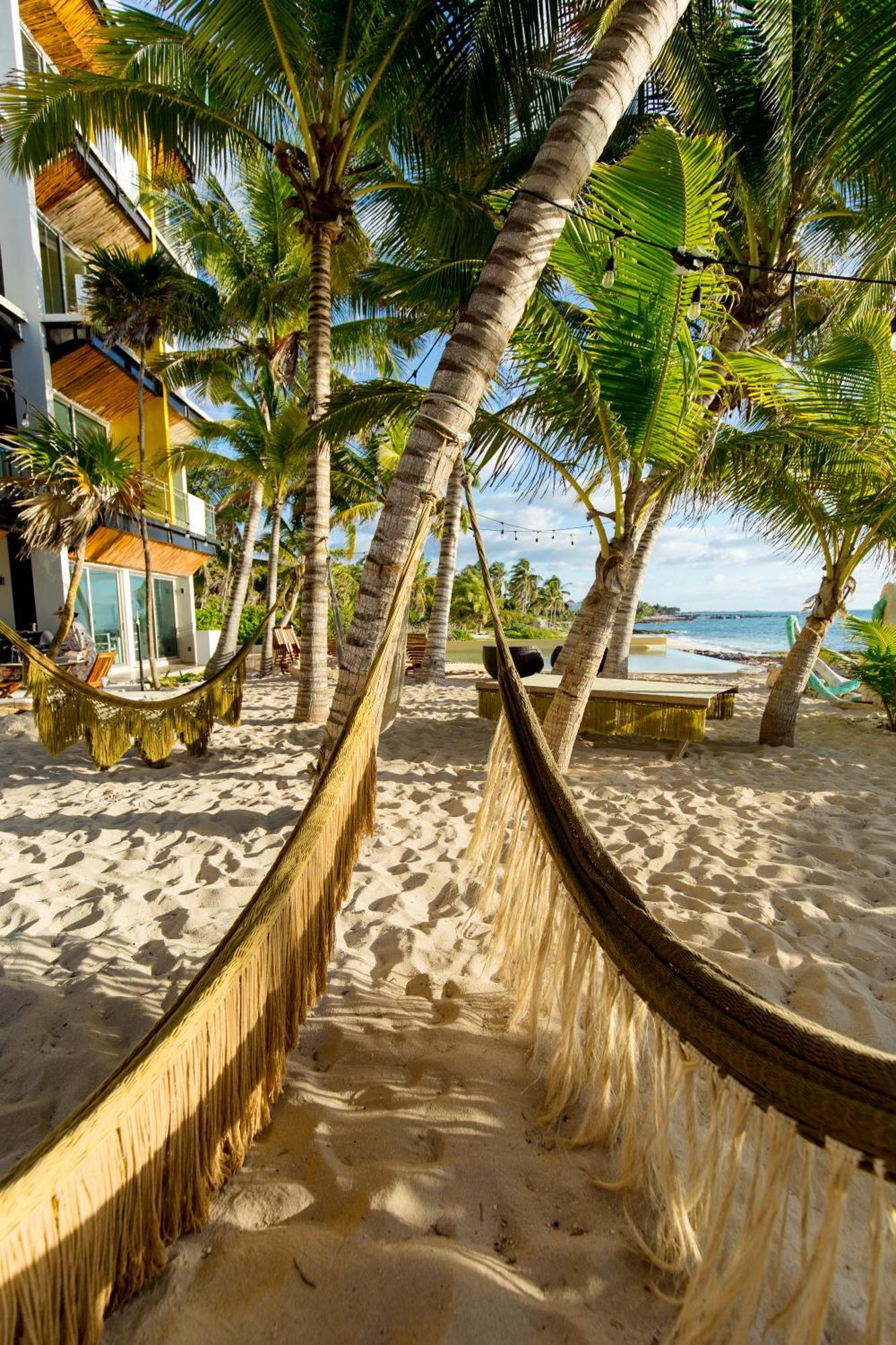 Angelina 28 Beachfront And Family Apartments - Modern And Relaxing Long Stays - 20 Min From Cancun Airport プエルト・モレロス エクステリア 写真