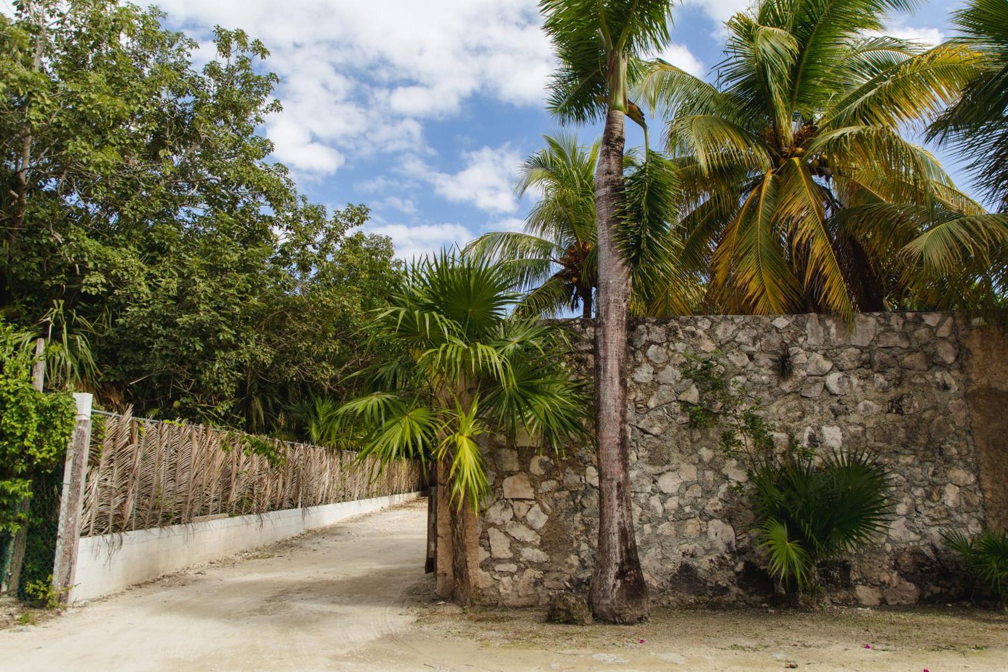 Angelina 28 Beachfront And Family Apartments - Modern And Relaxing Long Stays - 20 Min From Cancun Airport プエルト・モレロス エクステリア 写真