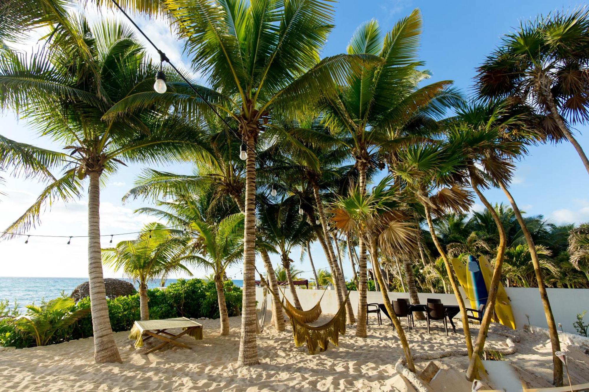 Angelina 28 Beachfront And Family Apartments - Modern And Relaxing Long Stays - 20 Min From Cancun Airport プエルト・モレロス エクステリア 写真